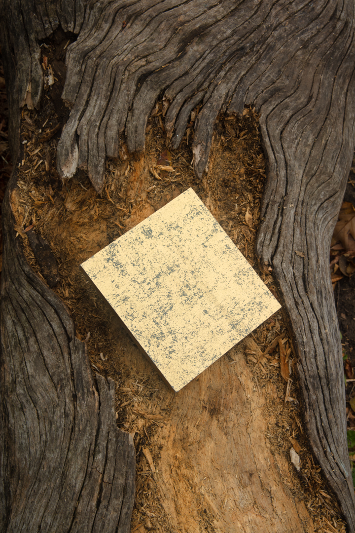 Sun Box on a felled tree